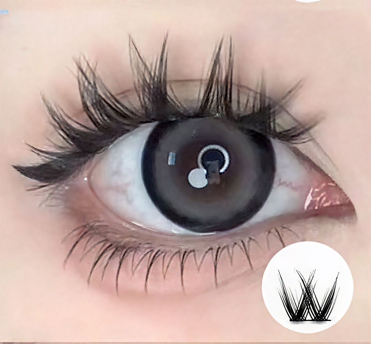 Velin Velvet Bloom | Glue-Free False Eyelashes | 1-Second Easy Wear