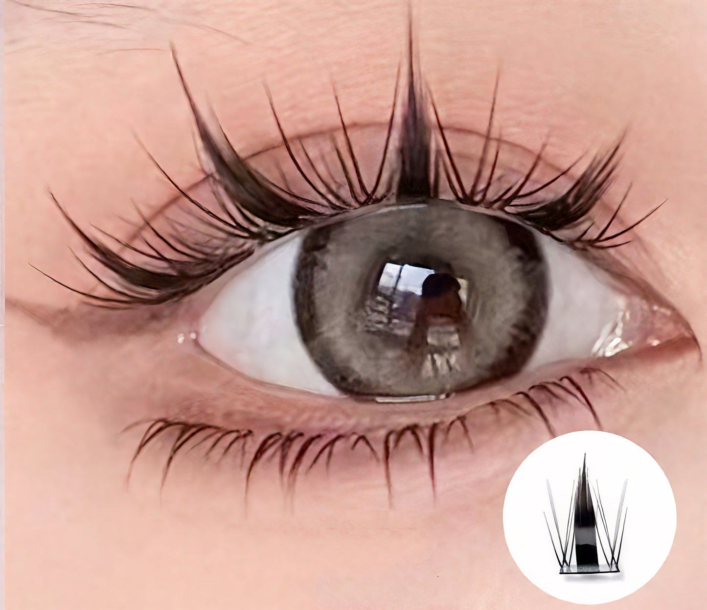 Velin Wild Bunny | Glue-Free False Eyelashes | 1-Second Easy Wear