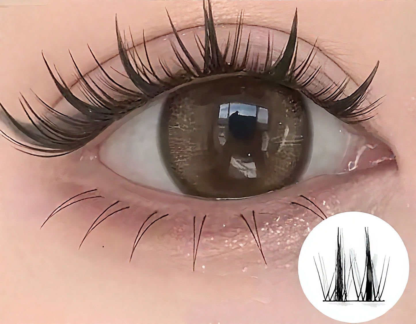 Velin Feathered Flare | Glue-Free False Eyelashes | 1-Second Easy Wear